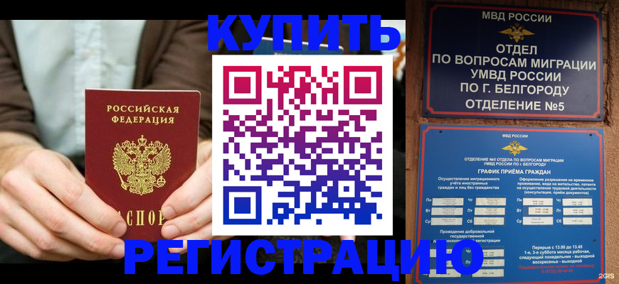 прописка 2025 в Козьмодемьянске